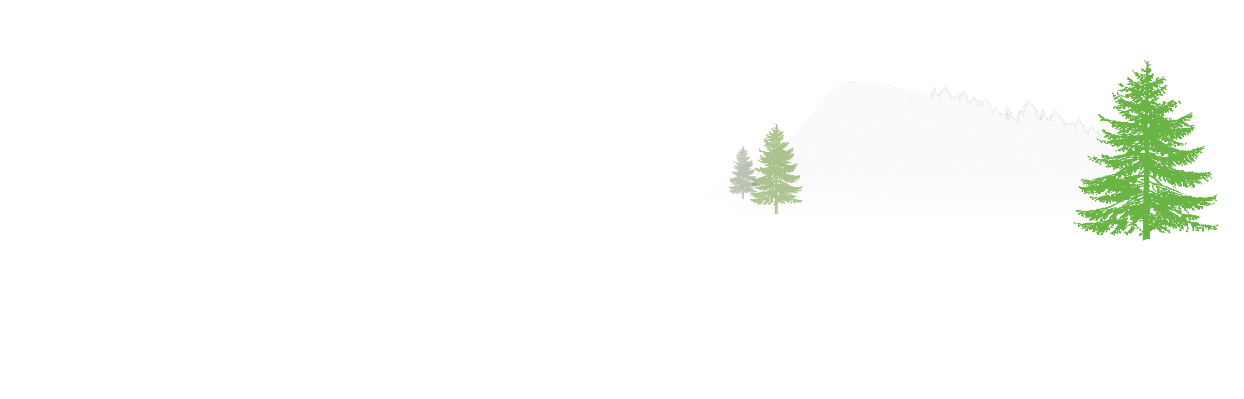 CMC wordmark with tag
