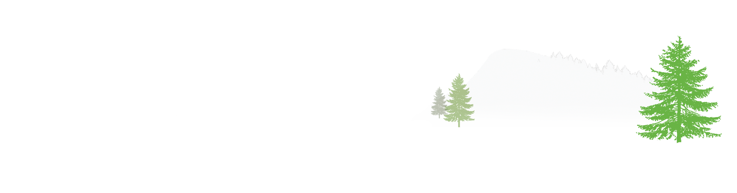 CMC wordmark - no tag